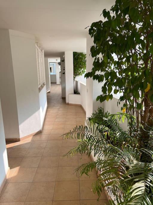 Vistas Mar Y Montana Apartment เบนัลมาเดนา ภายนอก รูปภาพ