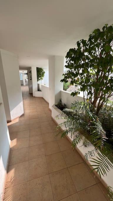 Vistas Mar Y Montana Apartment เบนัลมาเดนา ภายนอก รูปภาพ